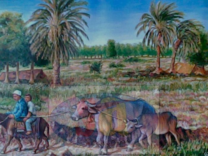 auto draft auto draft