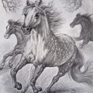 a running horse