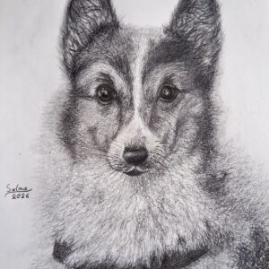 portrait of a beautiful dog