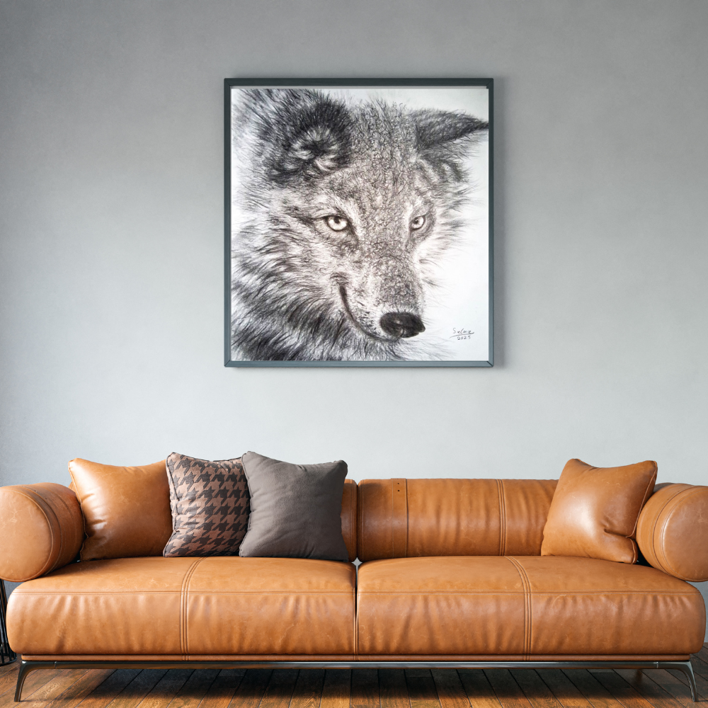 portrait of a beautiful canadian wolf portrait of a beautiful canadian wolf